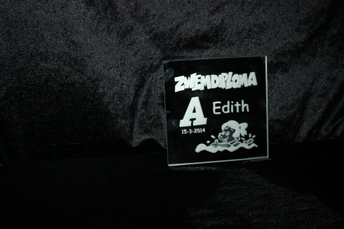 Spiegel "Zwemdiploma" - Afbeelding 2