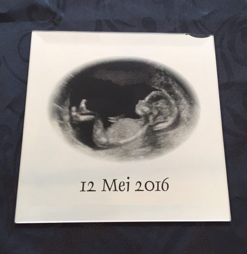 Fotospiegel echo