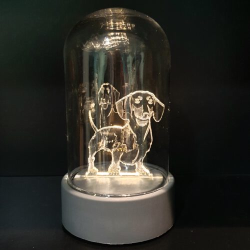 Ledlampje-glazen-stolp-teckel
