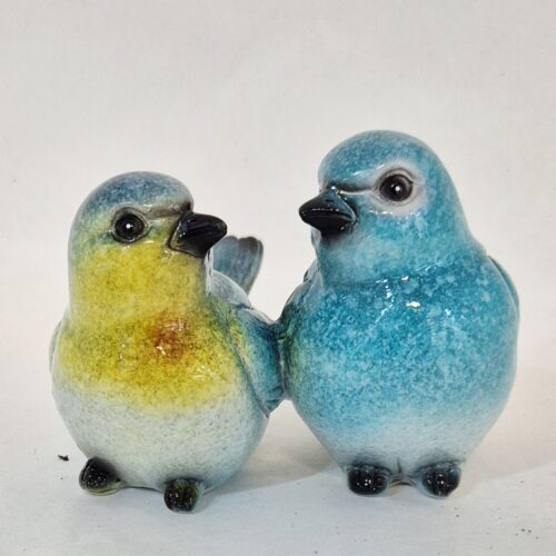 vogeltjes aan elkaar, echt samen