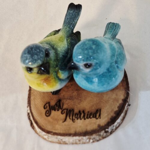 Just Married, 2 vogeltjes aan 1