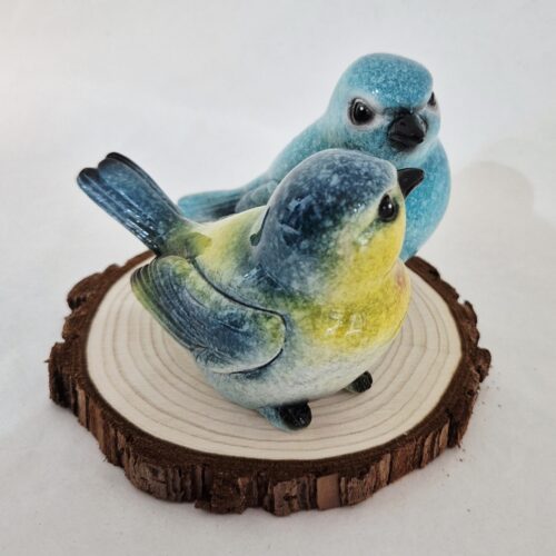 vogeltjes aan 1 op houten schijf