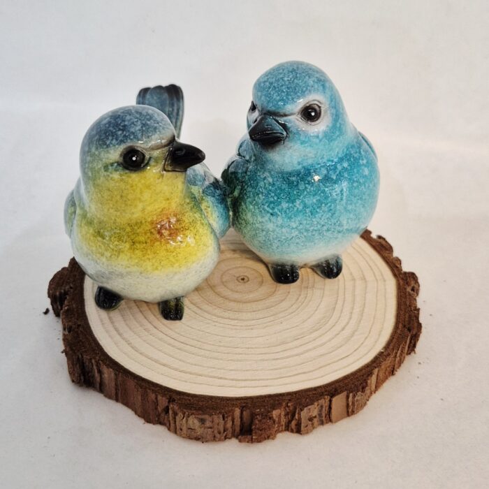 2 vogeltjes aan 1