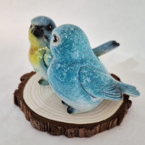 2 vogeltjes aan 1 in blauw en geel - Afbeelding 7