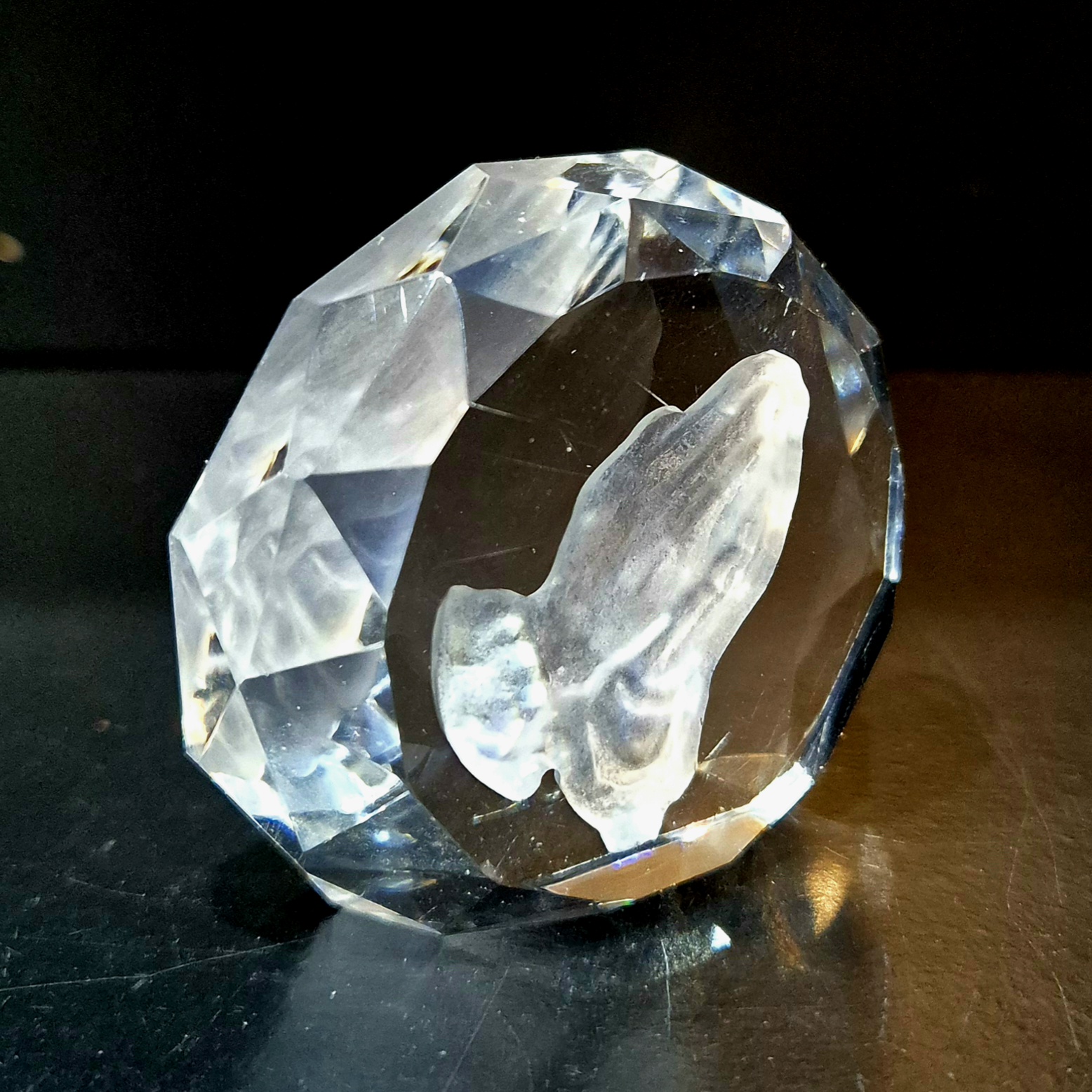 bokaaltje biddende handen